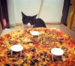 Dar Fisher's Photo of Vegan Domino's Pizza