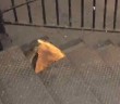Pizza Rat Best Internet Reactions